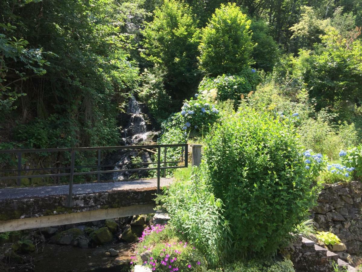 Casa Ortensia Lägenhet Gambarogno Exteriör bild
