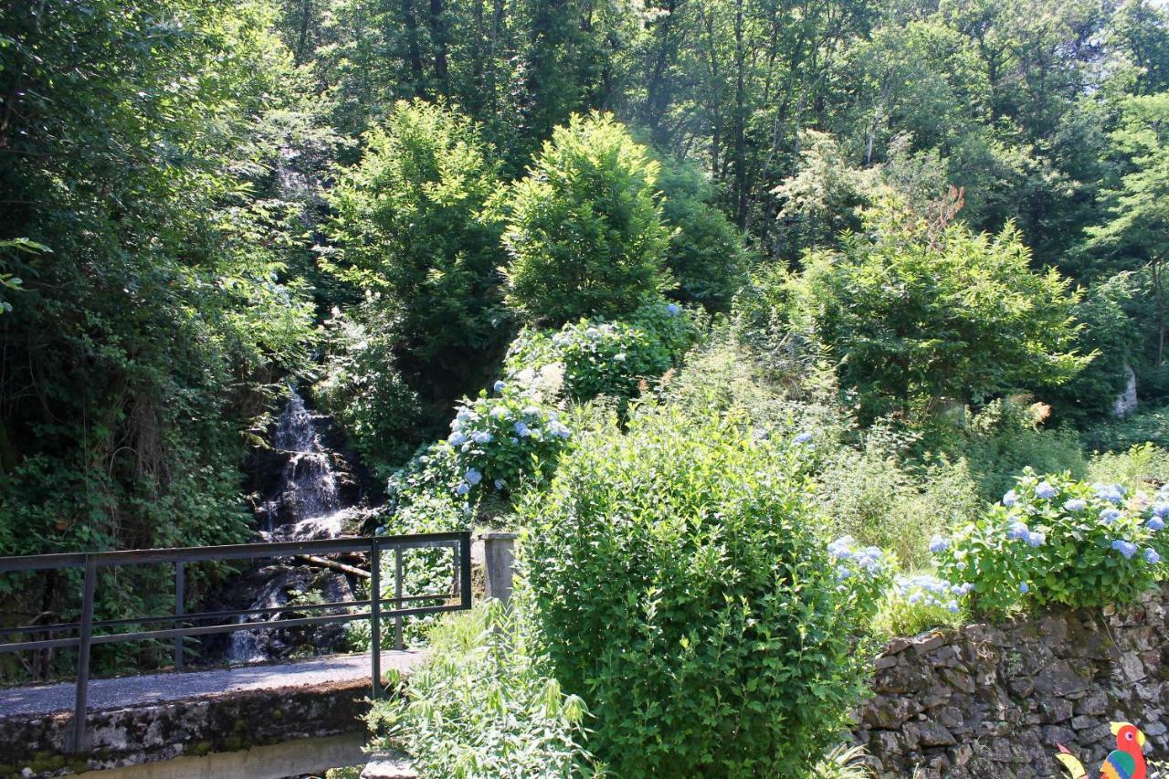 Casa Ortensia Lägenhet Gambarogno Exteriör bild