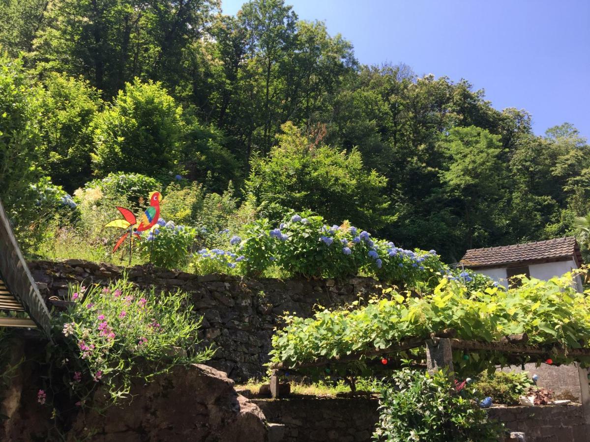 Casa Ortensia Lägenhet Gambarogno Exteriör bild